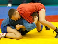 Традиционный Всероссийский юношеский турнир по борьбе самбо
